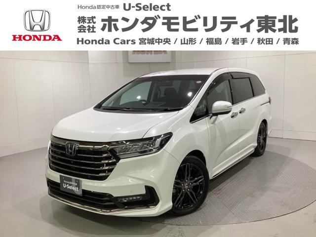 ۥ ǥåϥ֥å 塧ȣţ֥֥롼ȡţء꡼ʥӡХå