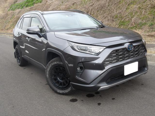 ＲＡＶ４ ハイブリッドＧ　ワンオーナー　１年保証付き　サンルーフ　レザーシート　純正ナビ　ガナドールマフラー　デルタフォースアルミホイール