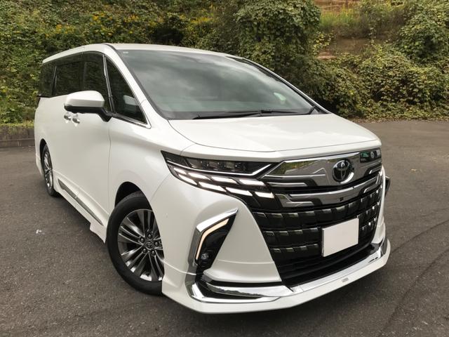 Ｚ　登録済未使用車　トヨタチームメイト　モデリスタフルエアロ　サンルーフ　純正フリップダウン　ユニバーサルステップ　デジタルミラー　ガラスコ－ト施工済み