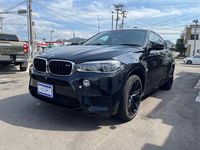 Ｘ６ Ｍ(BMW) ベースグレード　ナビ・ＴＶ・バックカメラ・サンルーフ・レザーシート・パワーシート・パワーバックドア・クルコン 中古車画像