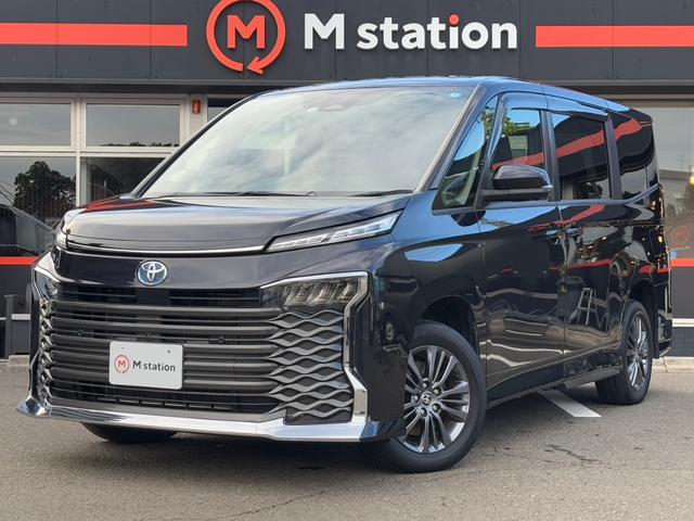 ȥ西  ϥ֥åɣӡݣǡȥ西եƥ󥹡ãáʥӥե륻¥