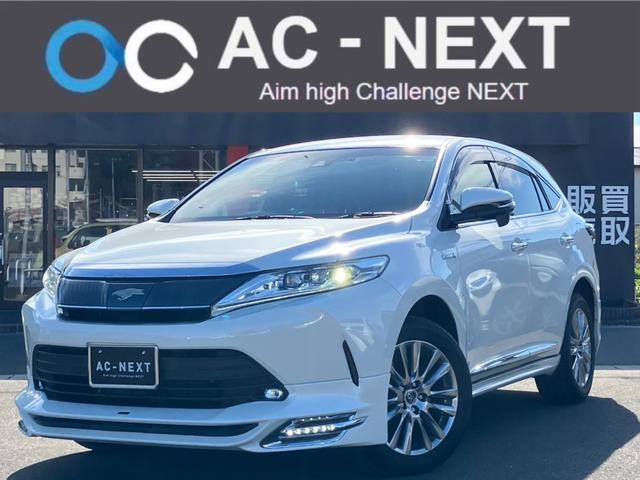 ȥ西 ϥꥢϥ֥å ץߥࡡѥ󣱣ʥӡԣңĥե륨Хå