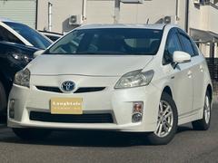 ȥ西ץꥦӡʥӡХå˥ţԣ