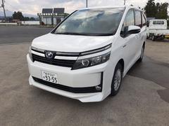  ϥ֥åɣ֡ϥ֥åɡԡƣơʥӡԣ֡ξ¦ѥ饤ɡߥۥ