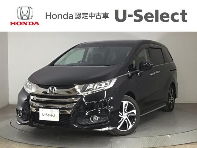 ǥå ֥롼ȡ̣ţġե륻ʥ 1000038A30251031W001 1