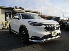 �ۥ�����������롡�ǡ����������������㥶�����磻�ɥʥӡ��ե륻��