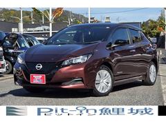 リーフ S 純正ナビ フルセグTV ETC バックカメラ 全席シートヒーター ステアリングヒーター エマージェンシーブレーキ ワンオーナー クルーズコントロール 中古車画像