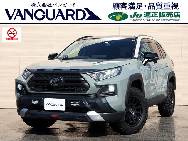 RAV4 50系 rav4 リアドアガーニッシュ - パーツ