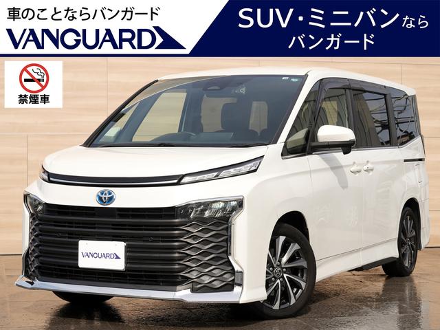 ϥ֥åȣӡݣڡŬإѥåȣ 󥪡ʡر֡谷ݾڽ᡼ݾڷѾͭ 1