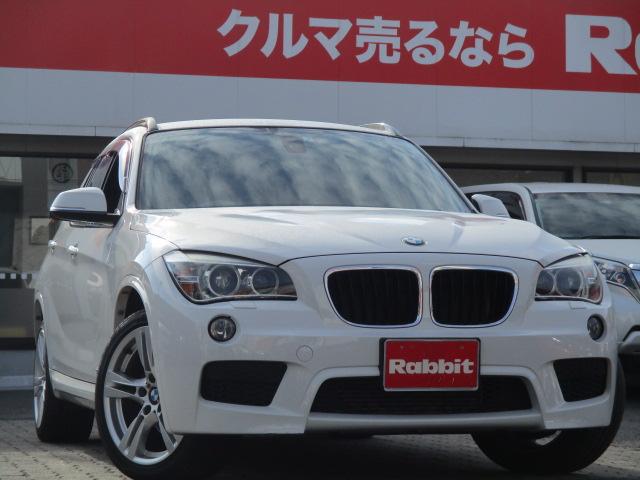 sDrive 20i Mスポーツ 純正ナビ 地デジ Rカメラ(1枚目)