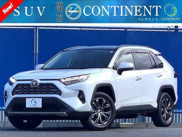 RAV4 ハイブリッドG ワンオーナー 禁煙 パノラマルーフ ナビ パノラマモニター ブラックレザーシート シートヒーター・クーラー デジタルミラー BSM レーダークルーズ ETC オートリトラミラー パワーバックドア(1枚目)