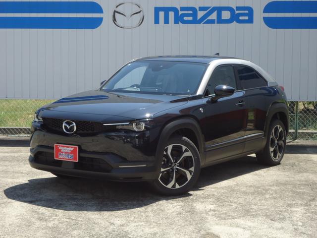 ＥＶとして使いドライブもエンジンよる発電が出来ます どんな事でもお声掛けください。車検・整備、板金等も承けたまります！