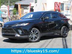 ȥ西ϥꥢϥ֥åɡǡȥ西եƥ󥹡Ͽ赡ǽեʡߥ顼ǥץ쥤ǥ