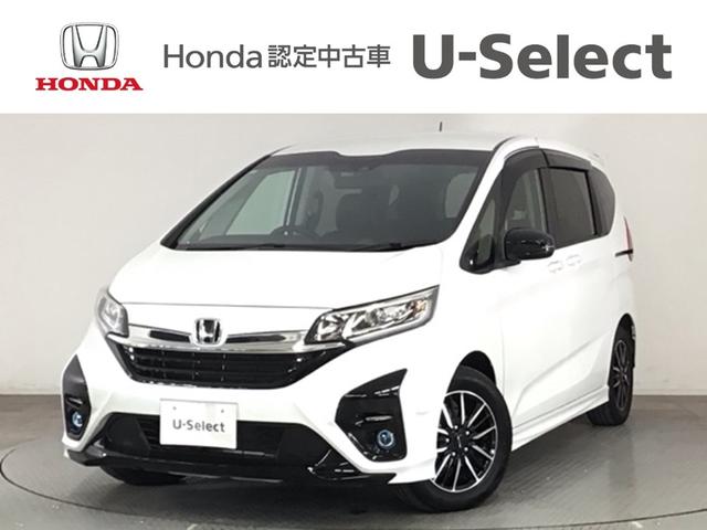 ۥ ե꡼ ǥ塼إۥ󥷥󥰡̣ţġե륻ʥ