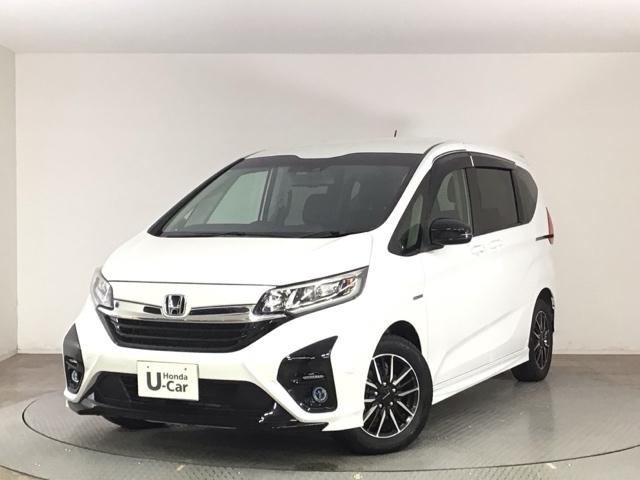 ե꡼ɥϥ֥å ϥ֥åɡǥ塼إۥ󥷥󥰡̣ţġե륻 1002528A30251027W009 1