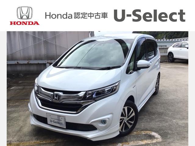 ե꡼ɥϥ֥å ϥ֥åɡţء̣ţġե륻 1002528A30251028W008 1