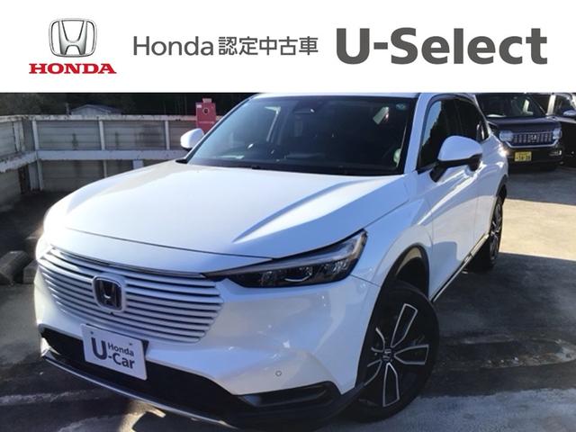  塧ȣţ֣ڡ̣ţġե륻ʥ 1002528A30251030W016 1