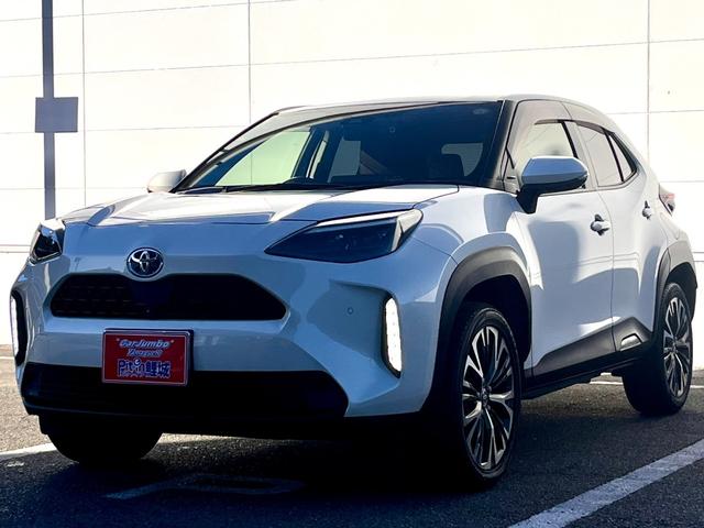 ꥹ ϥ֥åɣڡر֡ģܥʥӡѥΥߥåӥ塼˥ 1003157A30251030W001 1