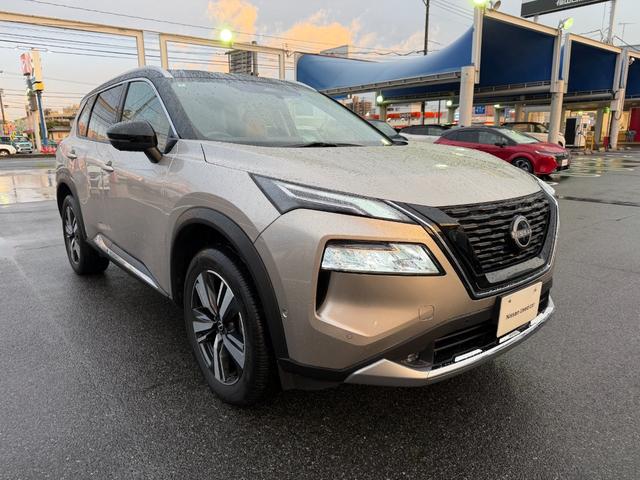 GNXgC(Y) f@|Snqbd Îԉ摜