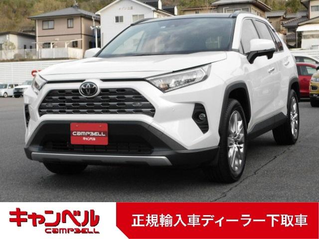 Toyota Rav4 G Z Package 19 Pearl Km Details Japanese Used Cars Goo Net Exchange