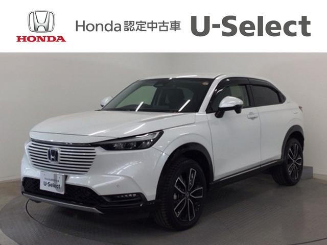  塧ȣţ֣ڡ̣ţġե륻ʥ 1020041A30251030W003 1