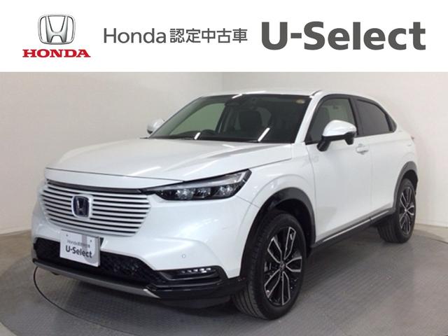  塧ȣţ֣ڡ̣ţġե륻ʥ 1020041A30251129W001 1