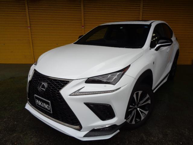 NX300h Fスポーツ(1枚目)