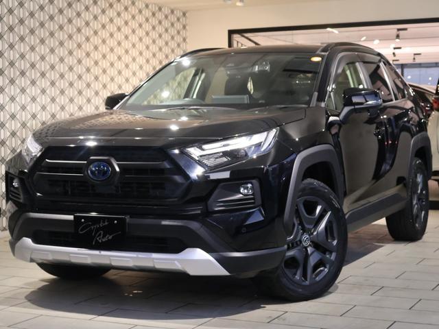 ȥ西 ң֣ ϥ֥åɥɥ٥㡼ѥΥޥ롼աϥ󥺥ե꡼ѥХåɥǥץ쥤