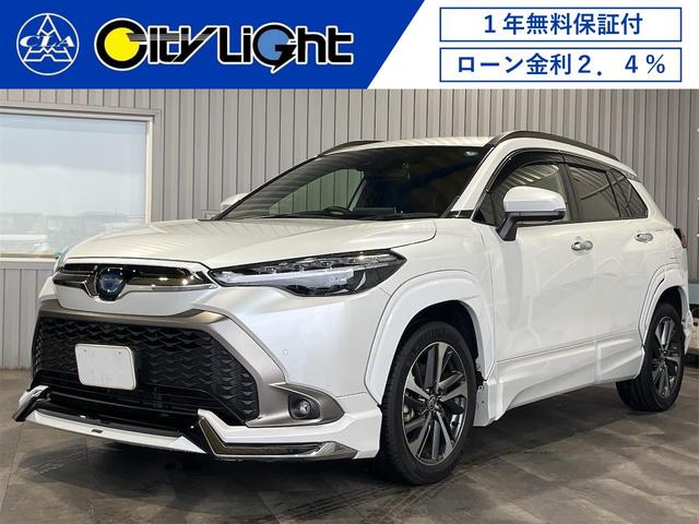 J[NX(g^) nCubh@y@PNۏؕtE։ԁEfX^EuChX|bgj^[Epm~bNr[j^[EirEsuEaEg^Z[teBEN[YRg[EfW^Ci[~[EOhR Îԉ摜