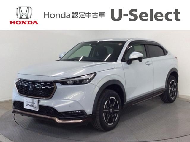  塧ȣţ֣ء̣ţġե륻ʥ 1020625A30251030W005 1