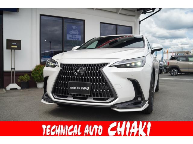 ＮＸ２５０　バージョンＬ　ドライブレコーダー前後・パノラミックビューモニター・ステアリングヒーター・ＥＴＣ２．０・電動パーキングブレーキ・ブレーキホールド・パワーバックドア・ナノイーＸ・ブラインドスポットモニター