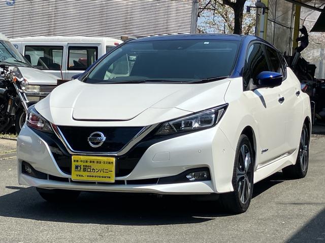Ｇ　デジタルミラー　ＬＥＤヘッドライト　ＥＶ車　ＴＶ　ＣＤ　ＤＶＤ　スマートキー　全方位カメラ　ＥＴＣ　シートヒーター　衝突被害軽減ブレーキ　障害物センサー　充電用ケーブル