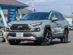 ȥ西ң֣ϥ֥åɥɥ٥㡼ʥӡѥΥߥåӥ塼˥ե륻ԣ֡ǥ륤ʡߥ顼