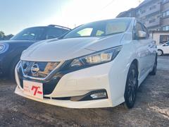 日産　リーフ　Ｇ　ドライブレコーダー　ＥＴＣ　全周囲カメラ