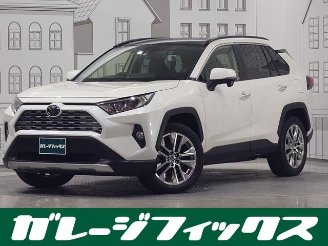 ＲＡＶ４(トヨタ) Ｇ　Ｚパッケージ　４ＷＤ　ドライブレコーダー　ＥＴＣ　バックカメラ　クリアランスソナー 中古車画像