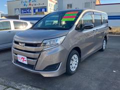 ȥ西Υء꡼ʥӡե륻ԣ֡Хå