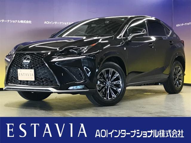 ＮＸ３００　クール＆ブライト　セーフティシステムプラス／追従クルコン／衝突軽減ブレーキ／ブラインドスポット／Ｂカメラ／全方位カメラ／シートヒーター／シートクーラー／Ｐバックドア／ステアヒーター／１０．３ナビ／フルセグＴＶ／ＥＴＣ