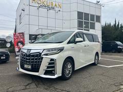 アルファードハイブリッド SR 4WD 純正メモリーナビ フルセグTV 全方位カメラ Bluetoothオーディオ ETC 前後ドライブレコーダー 両側パワースライドドア スマートキー プッシュスタート レザーシート シートヒーター 中古車画像