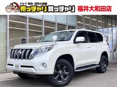 ランドクルーザープラド TX アルジェントクロス 純正ナビ フルセグTV サンルーフ ルーフレール バックカメラ LEDヘッドライト フロントドライブレコーダー ETC スマートキー プッシュスタート スペアタイヤ 電動格納サイドミラー 中古車画像