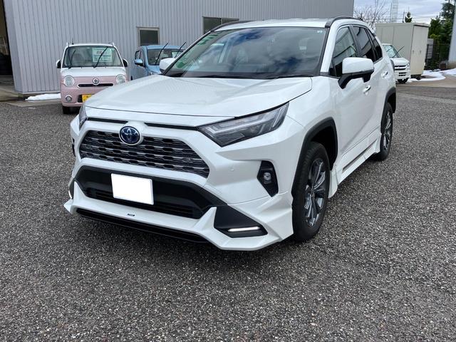 ＲＡＶ４(トヨタ) ハイブリッドＧ　Ｅ−Ｆｏｕｒ　４ＷＤＴＲＤエアロ　レザーシートパワーバックドア　運転助手席サイドエアバック　盗難防止システム　衝突安全ボディ 中古車画像