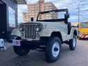 ＡＭＣ・ジープ ジープその他 　８１年式ＪＥＥＰ　ＣＪ－５　純正...