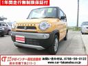 carPhoto