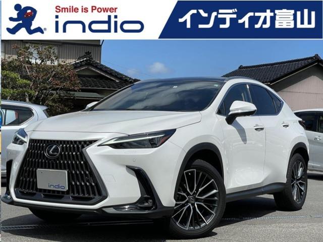 ビッケ 電動自転車 リアチャイルドシート付き
