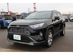 トヨタ　ＲＡＶ４　Ｇ　Ｚパッケージ　９インチＳＤナビＴＶ　Ｂカメラ