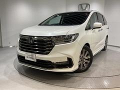 ۥǥåϥ֥åɡ塧ȣţ֥֥롼ȡɥƥ󥨥Хåãáﳲڸ֥졼