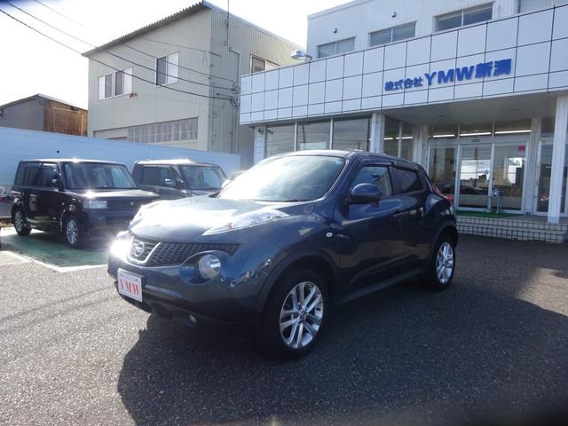 ジューク(日産) １６ＧＴ　タイプＶ 中古車画像
