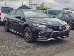 �ȥ西������ꡡ�ףӥ쥶���ѥå������������ʥӡ������ȥ����顼�������ȥҡ�����