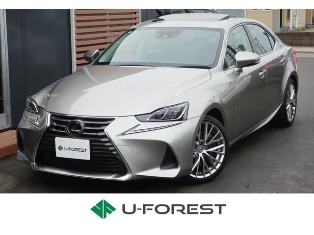 쥯 ɣ ɣӣС̡֥å쥶ȡ𥵥롼