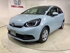 �ۥ�����ե��åȡ��塧�ȣţ֥ۡ��ࡡ�����ȯ��������ǽ�����꥽�ʡ������ʥ����Хå�