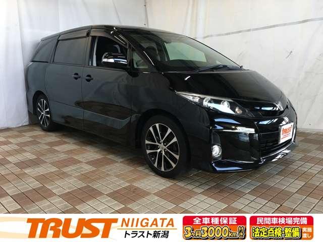 ȥ西 ƥ 饹ʥեåץ󡡥Хå顡ȣģĥʥ